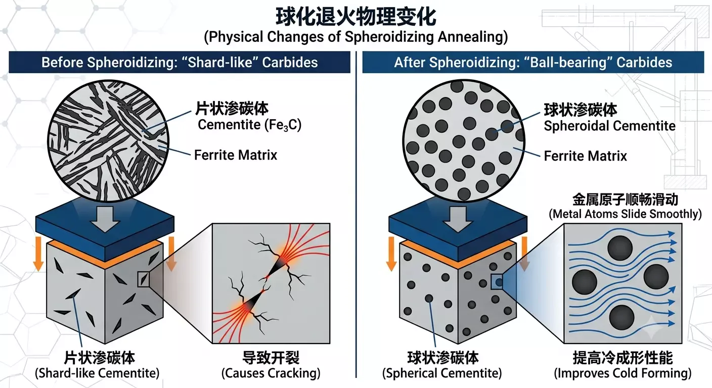 What is spheroidizing annealed wire rod?